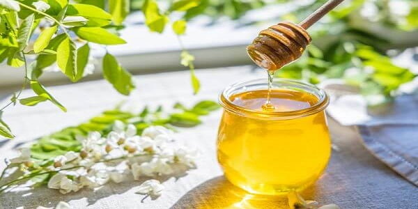 تصویر 5 از فروش عسل کنار درجه یک + قیمت خرید به صرفه